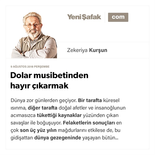 Dolar musibetinden hayır çıkarmak