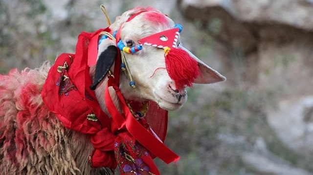 Arşiv