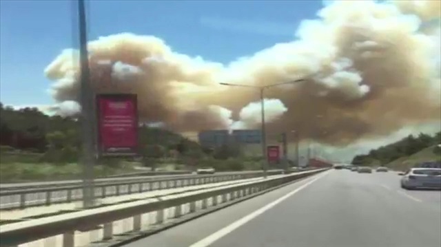 Bursadaki ormanlık alanda yangın kamerada