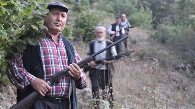 Köylüler domuzların ekinlere zarar vermemesi için nöbet tutuyor