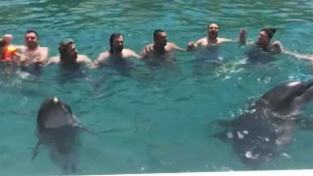 Horon tepen yunuslar paylaşım rekoru kırıyor