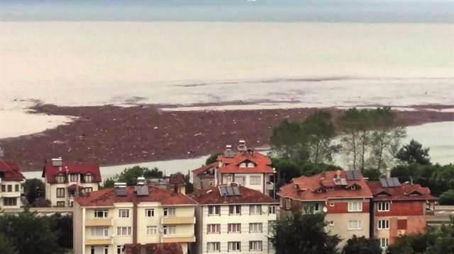 Ordu'da yaşanan sel felaketi sonrası fındıklar denize dökülmüştü.