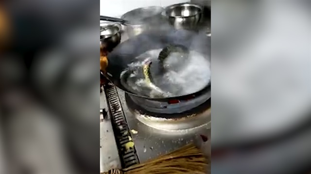 Kafası kesilmiş yılan pişirilirken canlandı