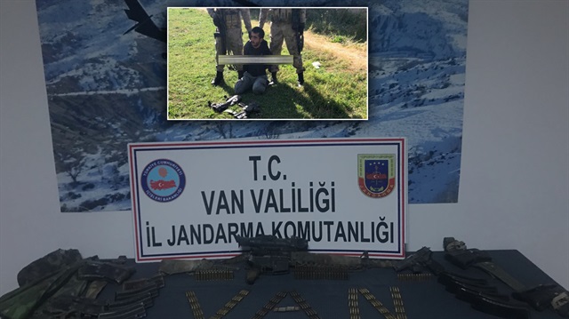 PKK'lı terörist saklandığı ağaçta güvenlik güçlerinin operasyonuyla yakalandı.