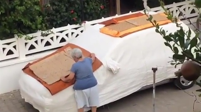 İzmir'de sokak hayvanlarına çivili tuzak kuran kadın
