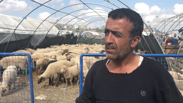 Kurban pazarlarında fiyat düştü