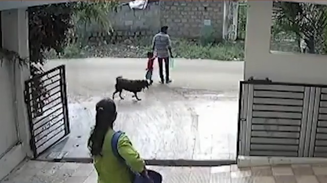 Sokak köpeği küçük çocuğa böyle saldırdı