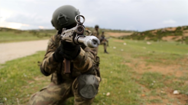 Hakkari'de terör operasyonu
