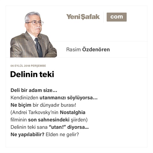 Delinin teki