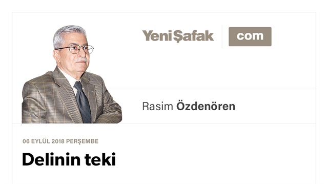 Delinin teki