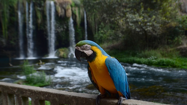 Düden Waterfalls in Turkey's Antalya mesmerizes visitors