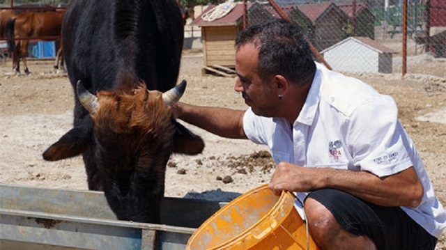 Ahbap Platformun kurucusu sanatçı Haluk Levent.