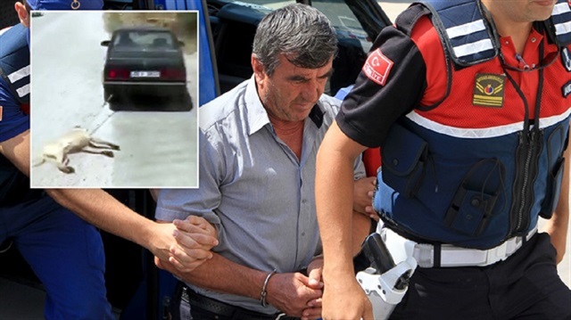 Ramazan D'nin, köpeğini otomobilin arkasında sürükleme anının görüntüsü sosyal medyada tepki çekmiş, gözaltına alınan kişi çıkarıldığı mahkemece adli kontrol şartıyla serbest bırakılmıştı.
