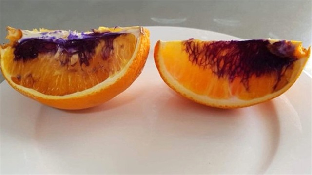 Mor portakallar ile ilgili araştırma yapan uzmanlar, durumun stabil olduğunu söyledi.