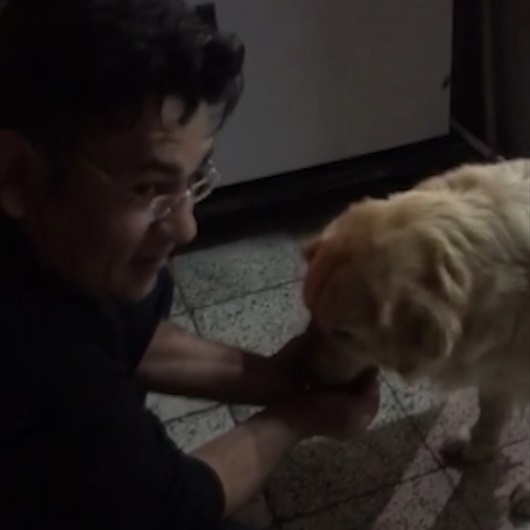 Polisten susamış köpeğe alkışlanacak davranış