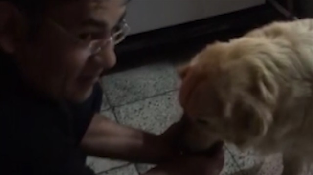 Polisten susamış köpeğe alkışlanacak davranış