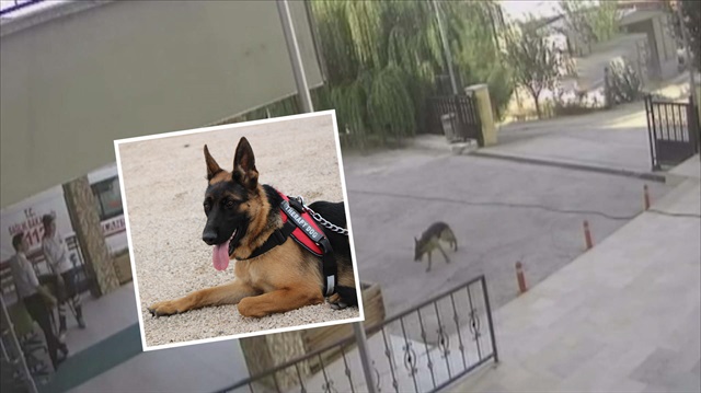 Kendisini çalan hırsızlardan kurtulup 112'ye sığındı