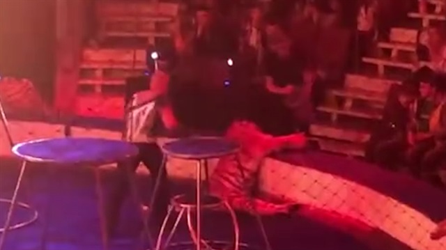 Sirk kaplanı performans sırasında kriz geçirdi