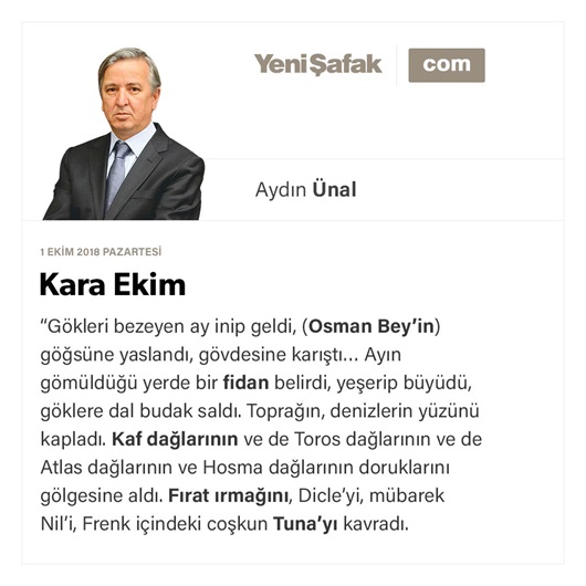 Kara Ekim