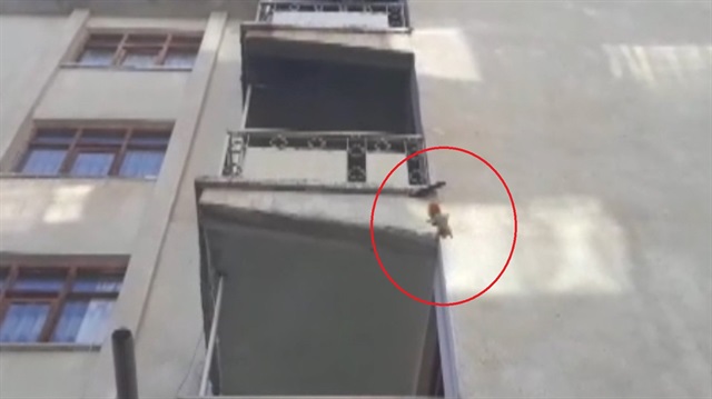 Yolunu şaşıran sincap apartmana tırmandı