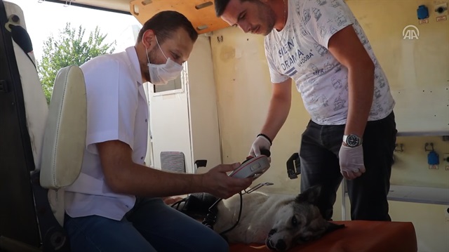 Sokak hayvanları için tam donanımlı ambulans