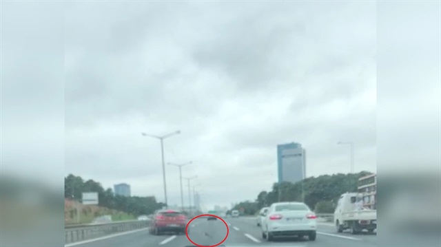TEMde zincirleme kazaya sebep olan kedi