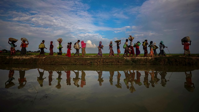Rohingya refugees are reflected in rain water along an embankment next to paddy fields after fleeing from Myanmar into Palang Khali, near Cox's Bazar, Bangladesh November 2, 2017. 