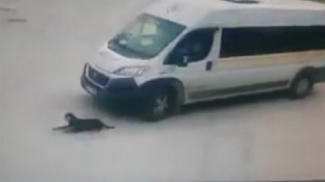 Uyuyan köpeği ezen cani şoför kamerada