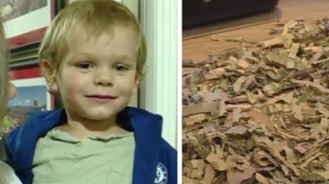 بالفيديو: طفل يضع 1000 دولار في آلة تمزيق الورق