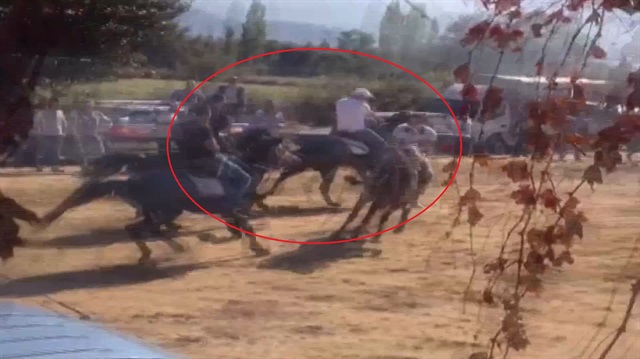 Görülmemiş kaza: Atlar birbiriyle çarpıştı