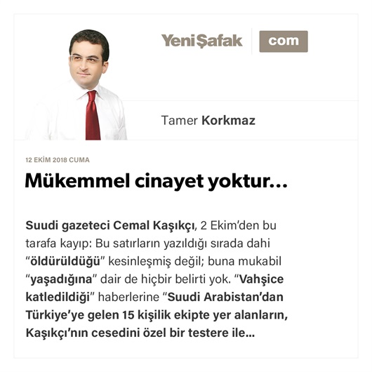 Mükemmel cinayet yoktur…