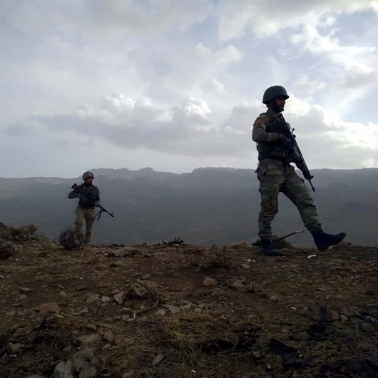 Herekol Dağı'ı da teröristlerden temizlendi