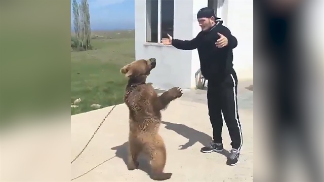 Habib Nurmagomedov yine ayıyla güreşti