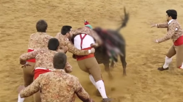 Boğa, 8 matadoru hastanelik etti.