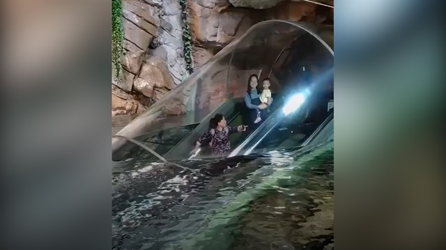 Görenleri kendine hayran bırakan yürüyen merdiven
