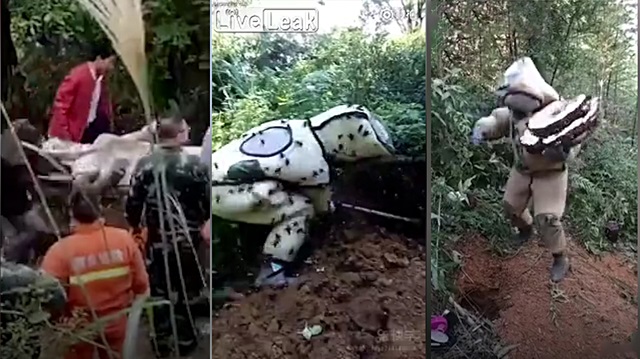 Arı kovanlarıyla yaptığı dans hayatının sonu oldu!