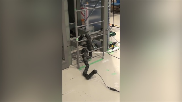 Merdivenleri tırmanan yılan robot