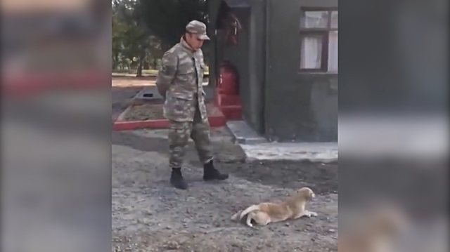Komutanın emriyle sürünen sevimli köpek kahkahaya boğdu