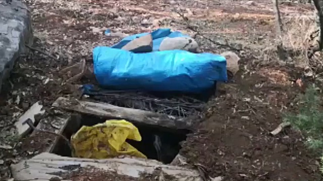 PKK'lı teröristler ağaçta brandayla gözetleme kulesi yapmış