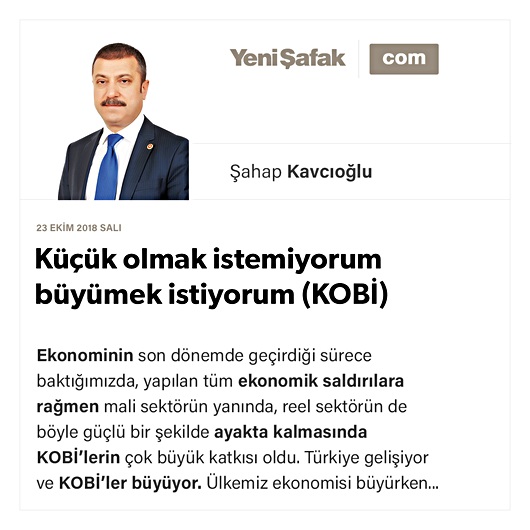 Küçük olmak istemiyorum büyümek istiyorum (KOBİ)