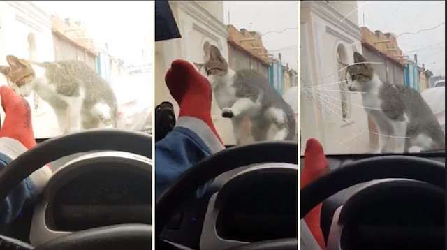 Kediyi korkutmak isterken arabasından oldu