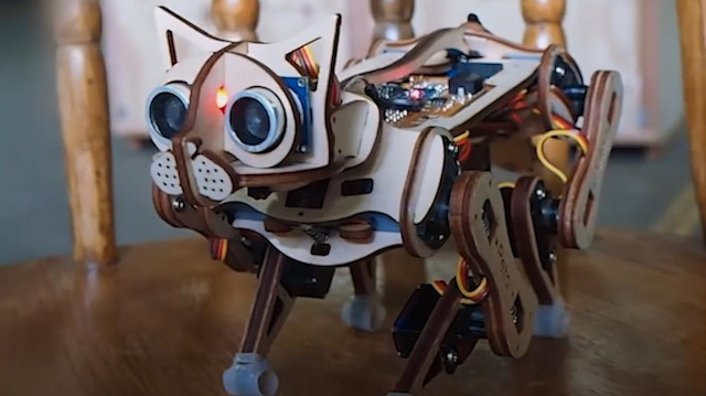Robot kedicik Nybble