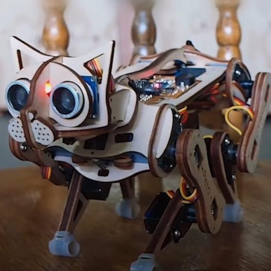Robot kedicik Nybble