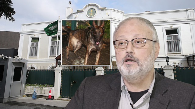 Gazeteci Cemal Kaşıkçı'nın cesedinin bulunması için kadavra köpeği Melo da ekiplerle hareket ediyor.