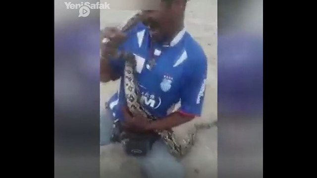 Pitonu öpmek isterken ölüyordu