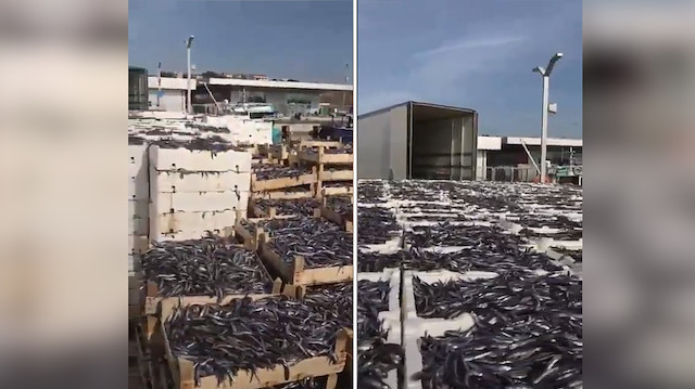 Stokçular tonlarca balığı piyasaya sürmüyor!