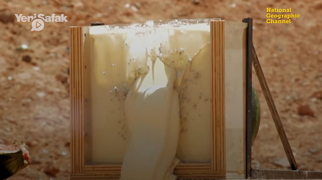 Kurşun geçirmez Puding deneyi