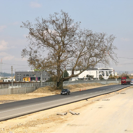 Çınar için duble yol güzergahını değiştirdiler
