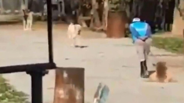 Köpeği yerlerde sürüyen personel görevden uzaklaştırıldı