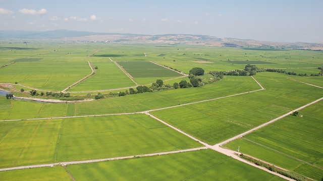 Arazi fotoğrafı. Arşiv.